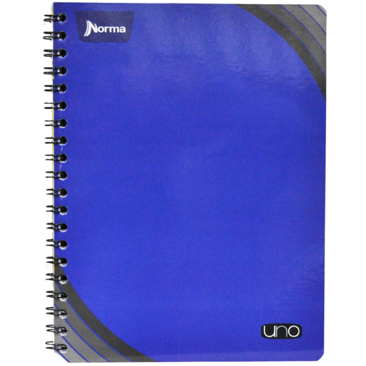 CUADERNO PROFESIONAL DOBLE ARGOLLA UNO100 HJ RAYA NORMA