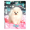 CUADERNO PROFESIONAL DOBLE ARGOLLA PETS 100 HJ RAYA NORMA MNK