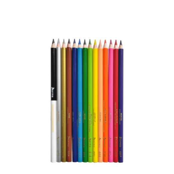 COLORES MADERA LARGOS 14 PZ NORMA MNK