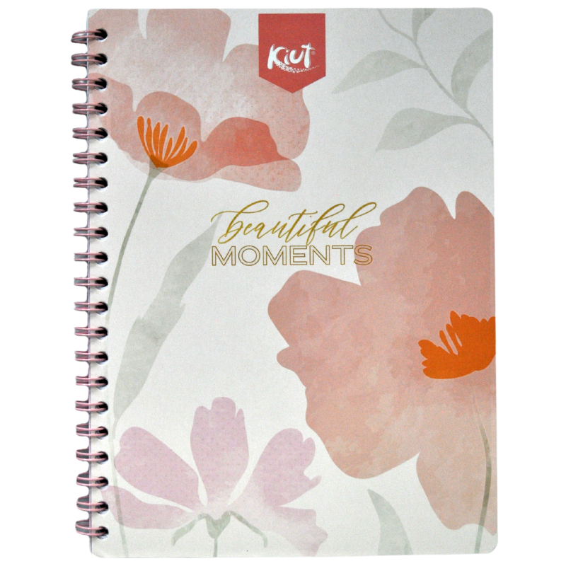 CUADERNO PROFESIONAL ARGOLLA 2-O KIUT 100 HJ RAYA NORMA
