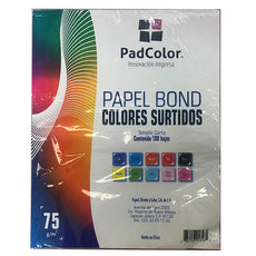 HOJAS COLORES SURTIDOS 100 HJ PADI MNK