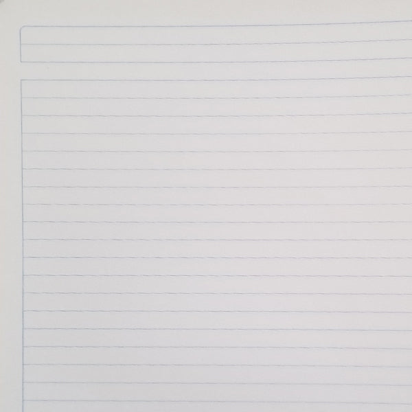 CUADERNO PROFESIONAL DOBLE ARGOLLA UNO 200 HJ RAYA NORMA