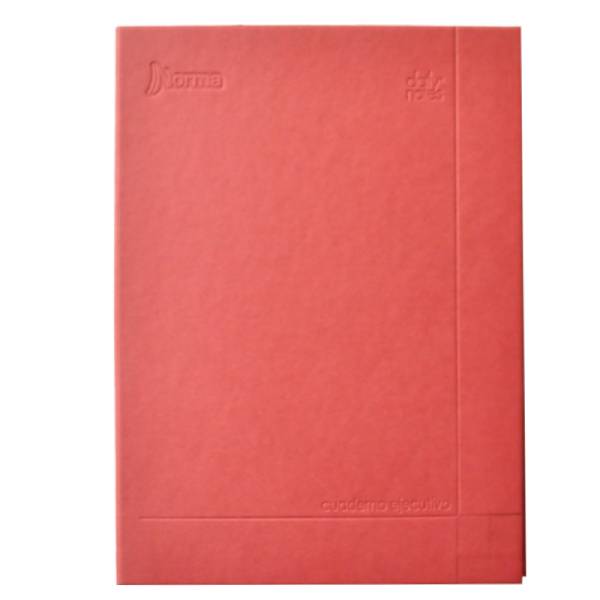 CUADERNO EJECUTIVO DAILY NOTES 100 HJ RAYA NORMA MNK