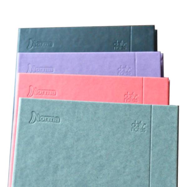 CUADERNO EJECUTIVO DAILY NOTES 100 HJ RAYA NORMA MNK