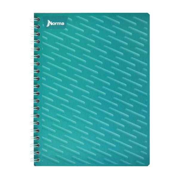 CUADERNO PROFESIONAL UNICOLOR 100 100 HJ C5 NORMA