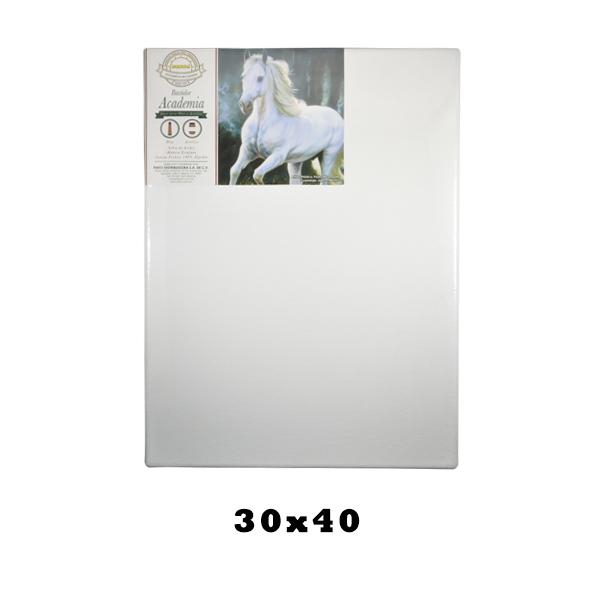 BASTIDOR LONETA FREDRIX 30X40 CM PINTO DISTRIBUIDORA