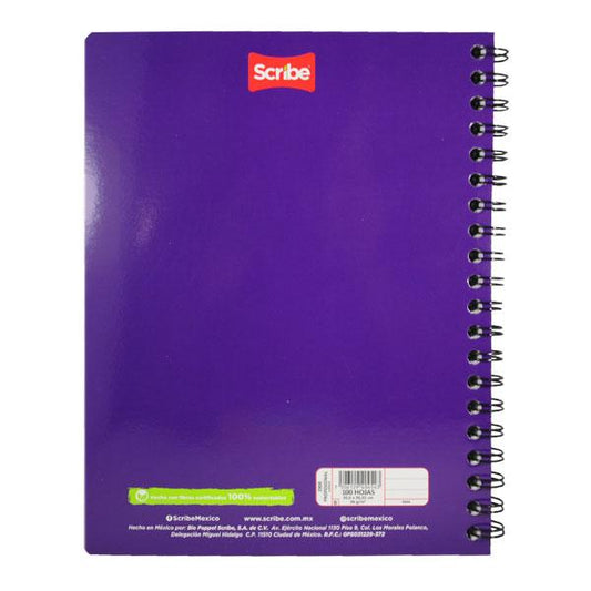 CUADERNO PROFESIONAL DOBLE ARGOLLA CLASICO 100 HJ RAYA 2900 SCRIBE MNK