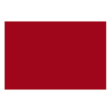 CARTULINA BRISTOL IRIS 50X65 ROJO IMPERIAL MNK