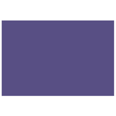 PAPEL LUSTRE 50X70 MORADO JLM MNK