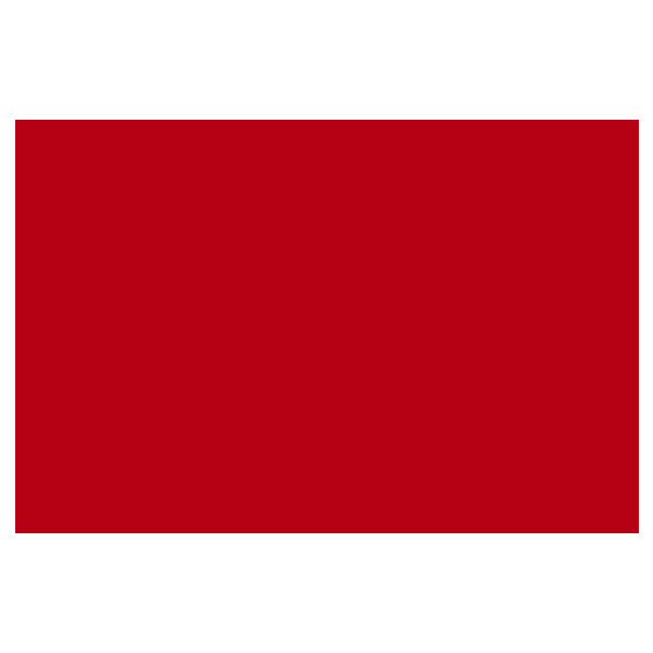 PAPEL LUSTRE 50X70 ROJO JLM MNK