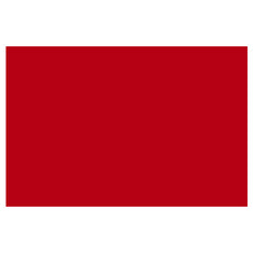 PAPEL LUSTRE 50X70 ROJO JLM MNK