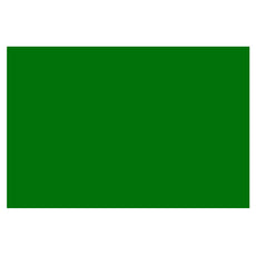 PAPEL LUSTRE 50X70 VERDE BANDERA JLM MNK