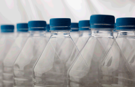 Más manualidades que puedes realizar con plástico