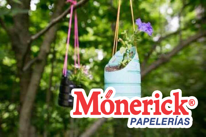 Manualidades con botellas de plástico.