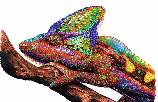 Consejos para usar los colores de arte Prismacolor