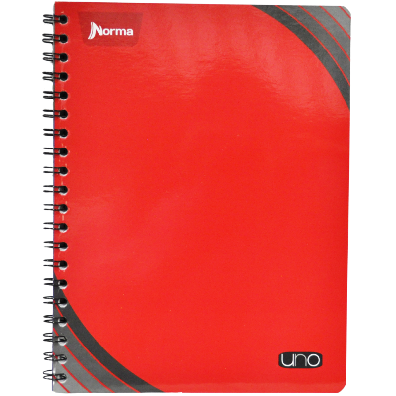 CUADERNO PROFESIONAL DOBLE ARGOLLA UNO100 HJ RAYA NORMA