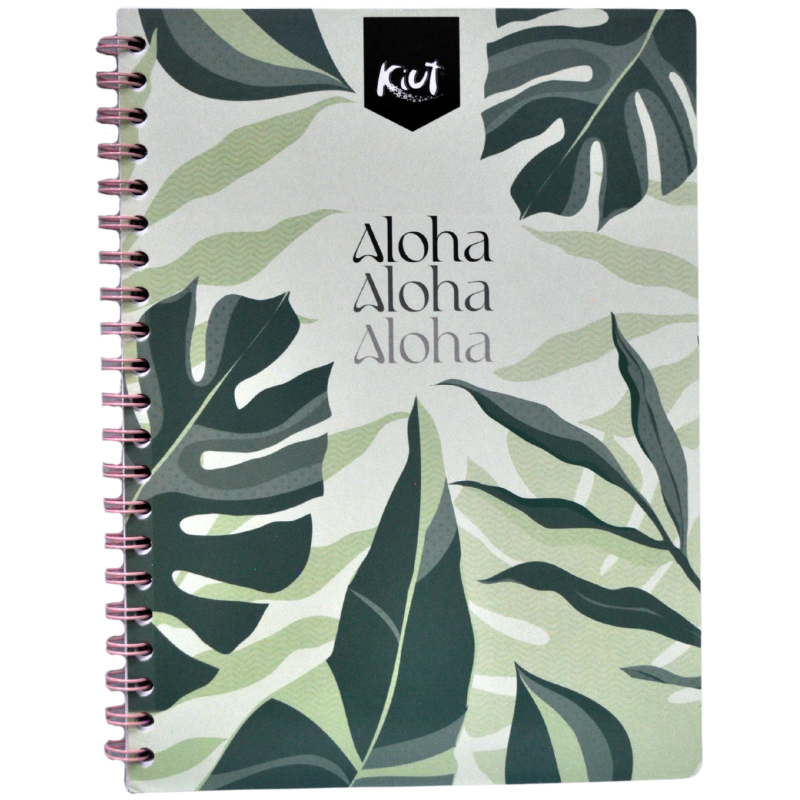 CUADERNO PROFESIONAL ARGOLLA 2-O KIUT 100 HJ RAYA NORMA