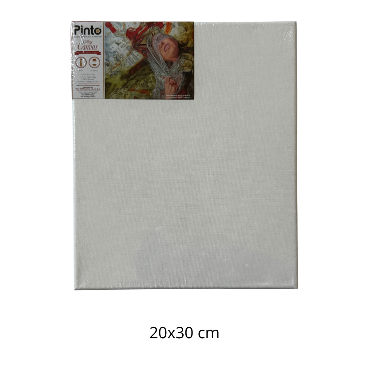 BASTIDOR COLLEGE CANVAS 20X30 CM PINTO DITRIBUIDORA