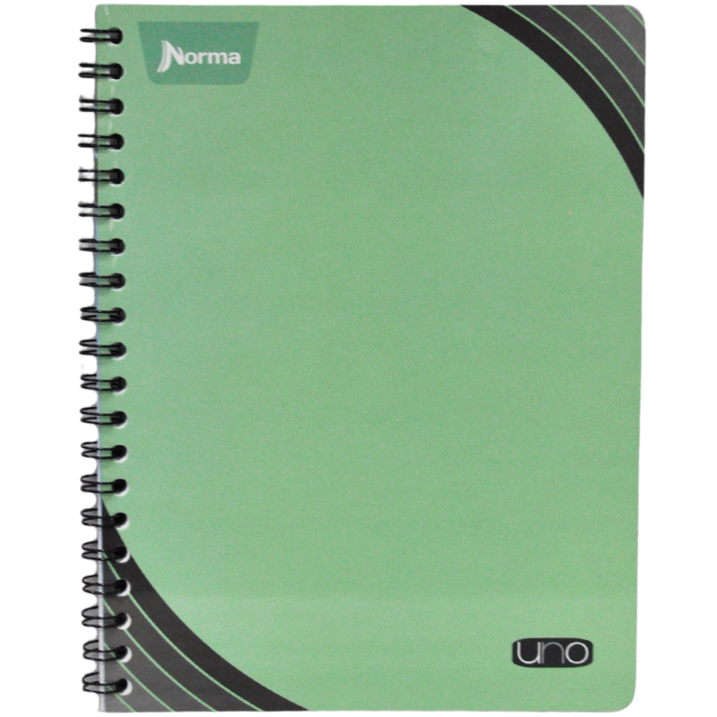 CUADERNO PROFESIONAL DOBLE ARGOLLA UNO100 HJ RAYA NORMA