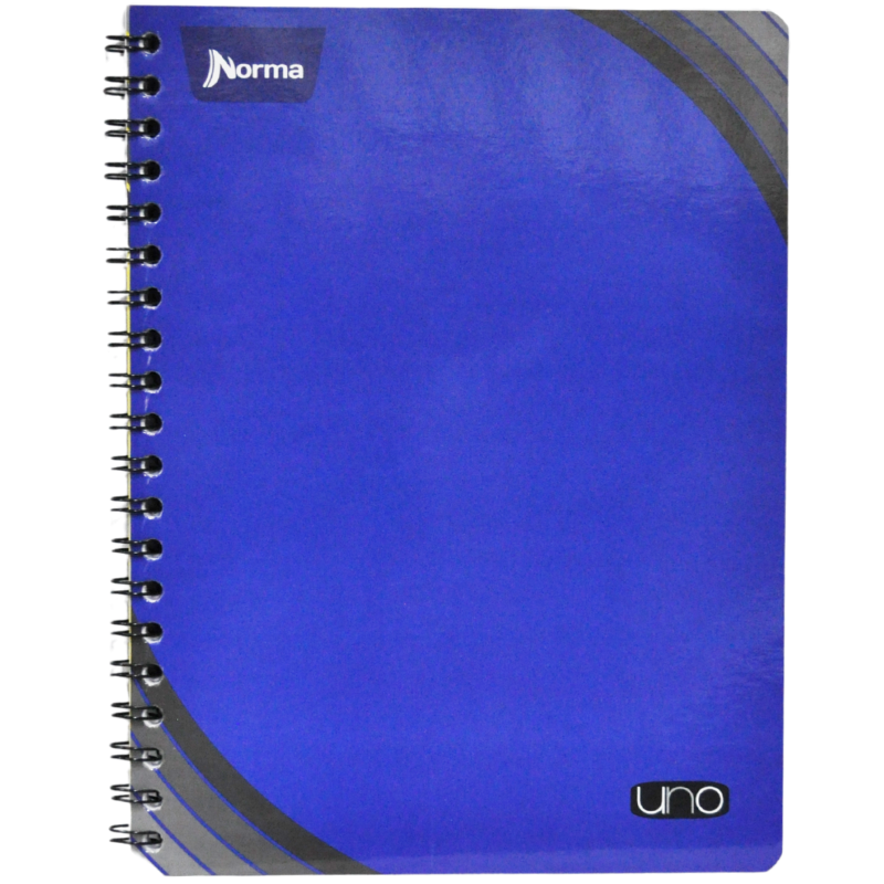 CUADERNO PROFESIONAL DOBLE ARGOLLA UNO100 HJ RAYA NORMA