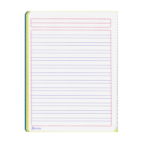 CUADERNO FRANCES COSIDO COLOR 360 100 HJ DOBLE RAYA NORMA MNK