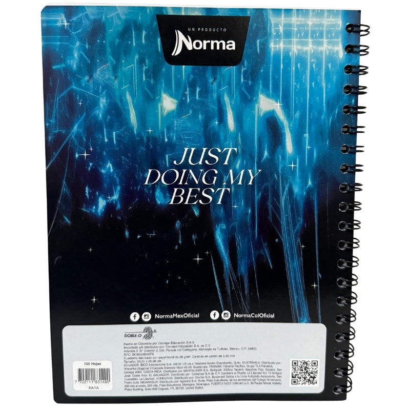CUADERNO PROFESIONAL DOBLE ARGOLLA BASIC 100 HJ RAYA NORMA MNK
