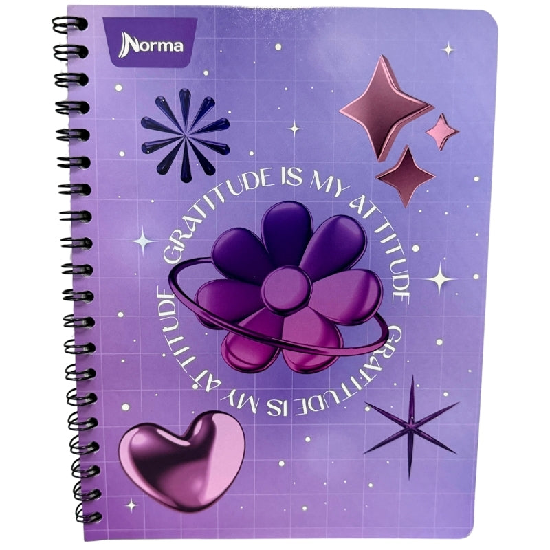 CUADERNO PROFESIONAL DOBLE ARGOLLA BASIC 100 HJ RAYA NORMA MNK