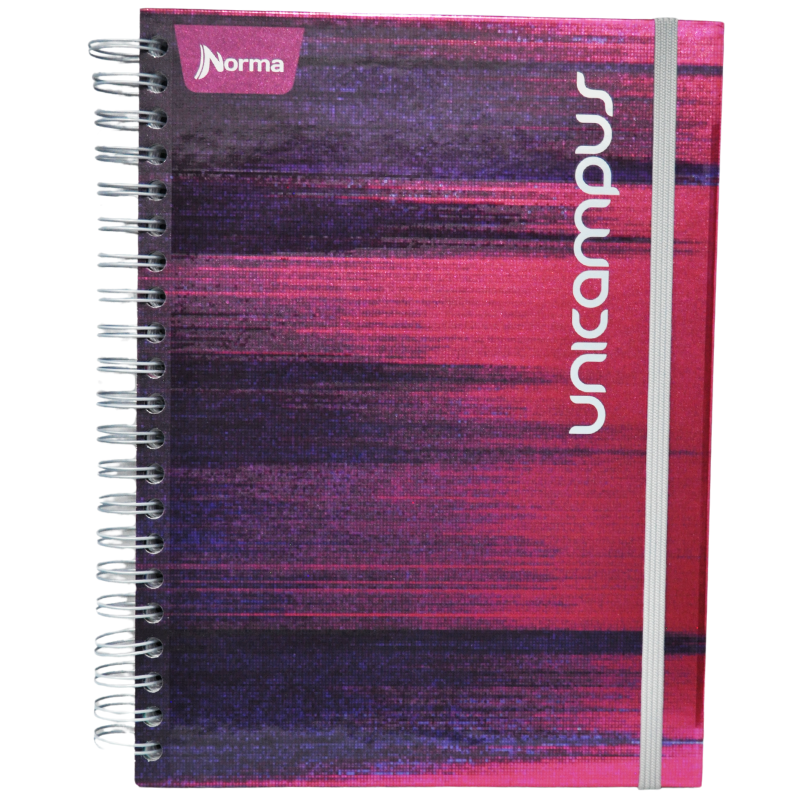 CUADERNO PROFESIONAL DOBLE ARGOLLA UNICAMPUS METALICO 160 HJ RAYA NORMA MNK