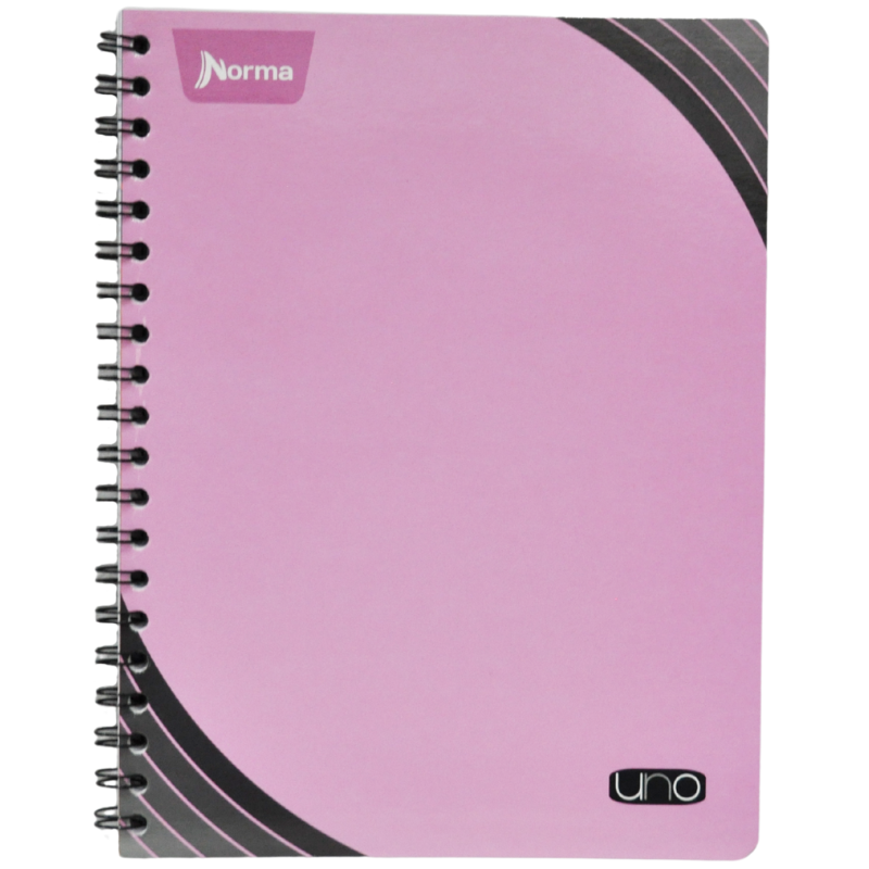 CUADERNO PROFESIONAL DOBLE ARGOLLA UNO100 HJ RAYA NORMA