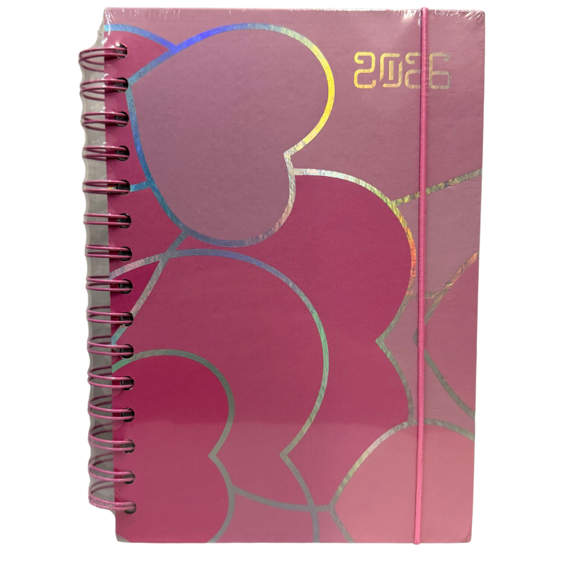 AGENDA DIARIA DOBLE ESPIRAL AG137 NOVAC