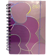 AGENDA DIARIA DOBLE ESPIRAL AG137 NOVAC