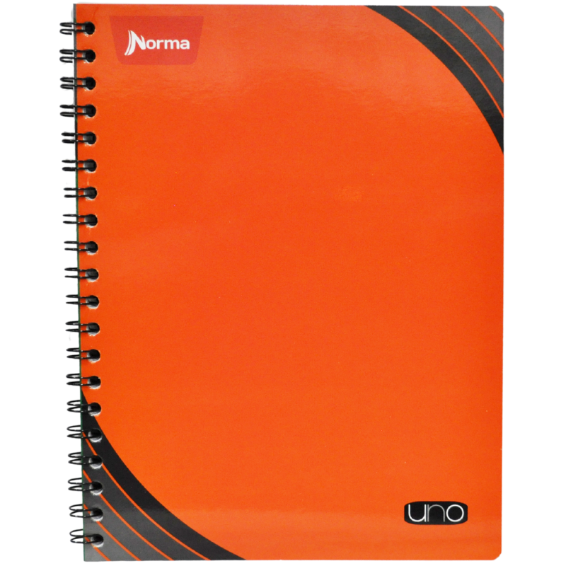 CUADERNO PROFESIONAL DOBLE ARGOLLA UNO100 HJ RAYA NORMA