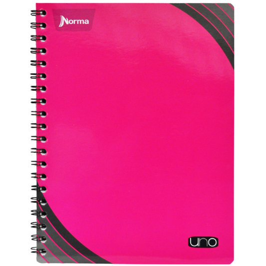 CUADERNO PROFESIONAL DOBLE ARGOLLA UNO100 HJ RAYA NORMA