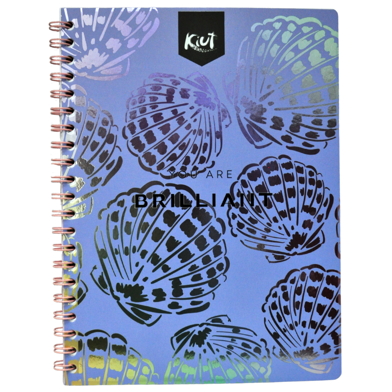 CUADERNO PROFESIONAL ARGOLLA 2-O KIUT 100 HJ RAYA NORMA