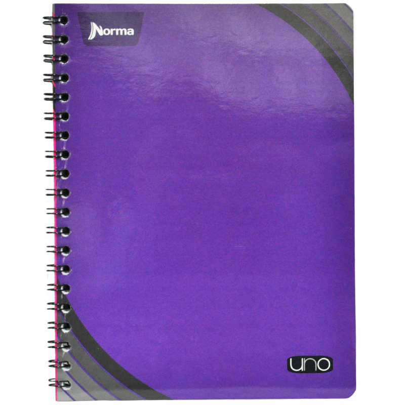 CUADERNO PROFESIONAL DOBLE ARGOLLA UNO100 HJ RAYA NORMA
