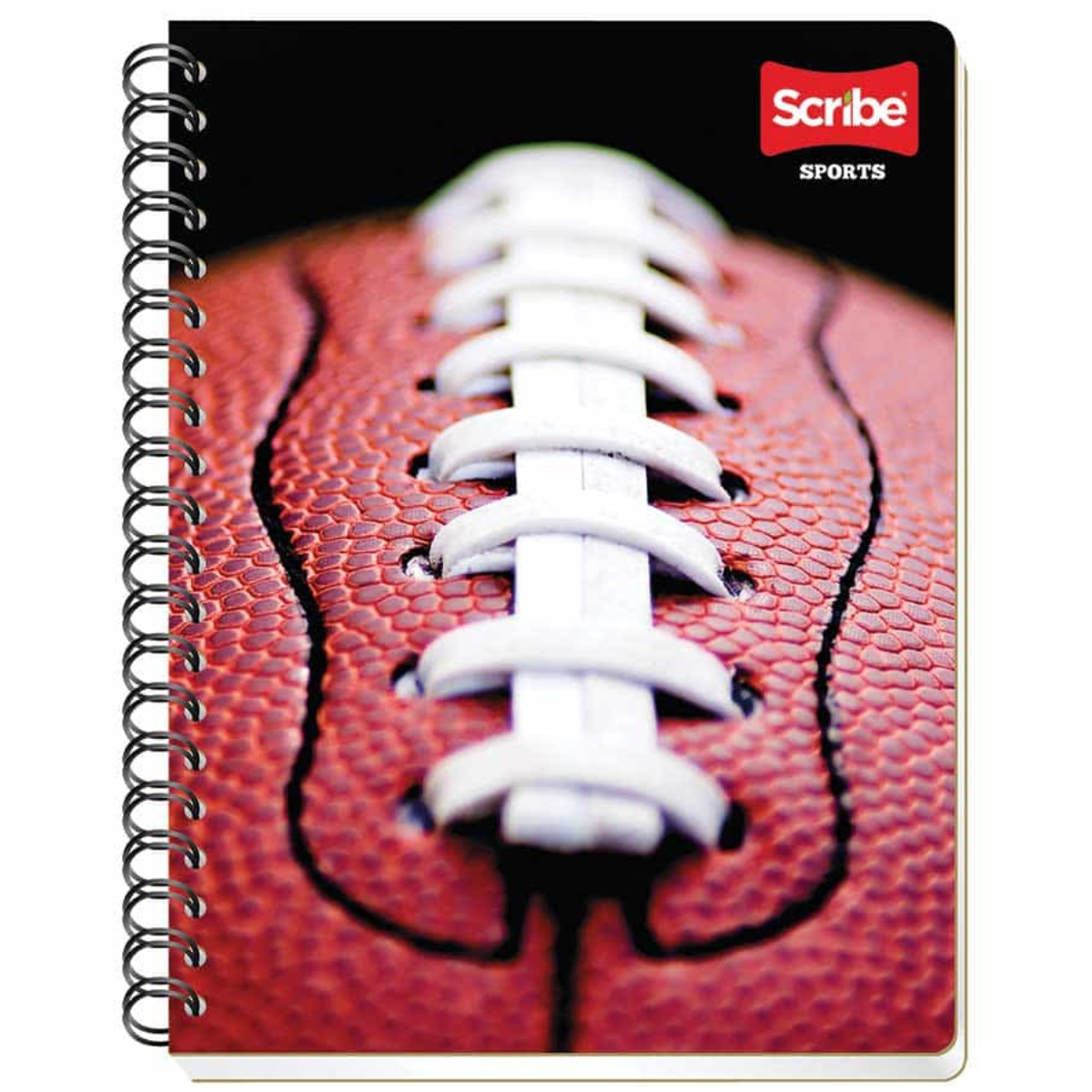 CUADERNO PROFESIONAL DOBLE ARGOLLA DEPORTES 100 HJ RAYA SCRIBE
