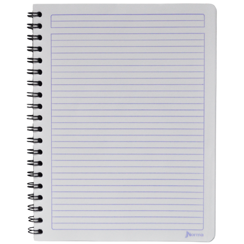 CUADERNO PROFESIONAL DOBLE ARGOLLA UNO100 HJ RAYA NORMA