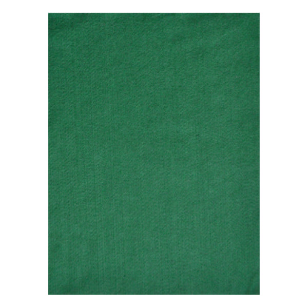 FIELTRO CARTA VERDE BANDERA MEXIQUENSE