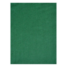 FIELTRO CARTA VERDE BANDERA MEXIQUENSE