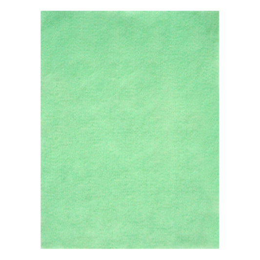 FIELTRO CARTA VERDE MANZANA MEXIQUENSE
