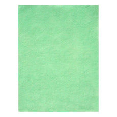 FIELTRO CARTA VERDE MANZANA MEXIQUENSE