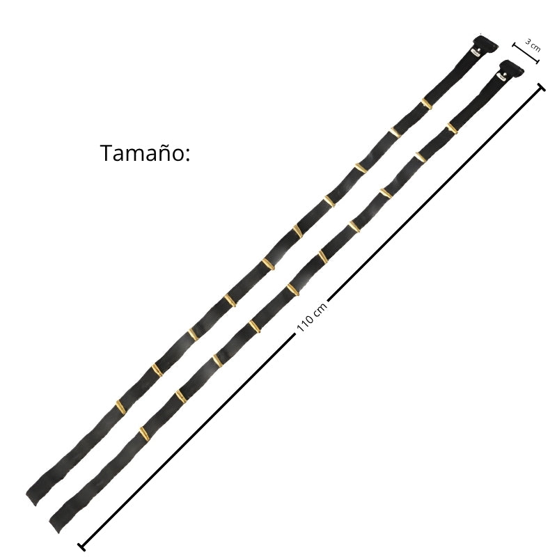 CARRILLERA PLASTICO 2 PZS PATRIAS VM FIESTA