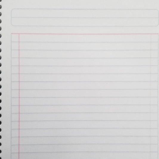CUADERNO FRANCES ESPIRAL BASICO 100 HJ RAYA ESTRELLA MNK