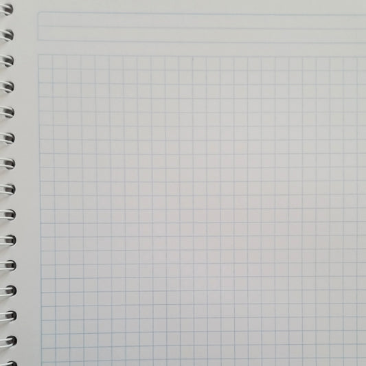 CUADERNO PROFESIONAL UNICOLOR 100 HJ C7 NORMA