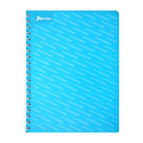 CUADERNO PROFESIONAL UNICOLOR 100 100 HJ C5 NORMA