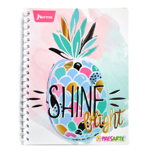 CUADERNO PROFESIONAL DOBLE ARGOLLA XPRESARTE 100 HJ RAYA NORMA