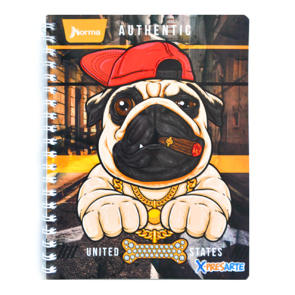 CUADERNO PROFESIONAL DOBLE ARGOLLA XPRESARTE 100 HJ RAYA NORMA