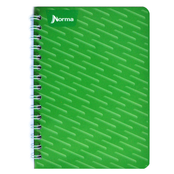 CUADERNO FRANCES DOBLE ARGOLLA 100 HJ RAYA NORMA MNK