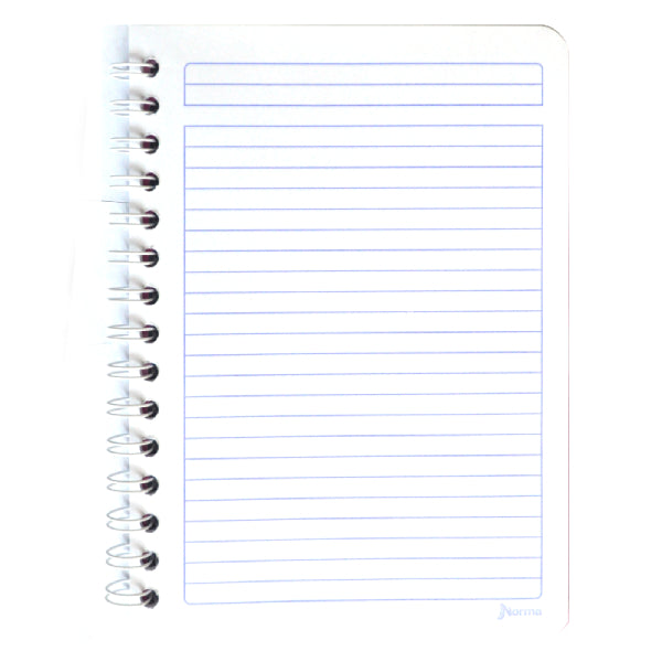 CUADERNO FRANCES DOBLE ARGOLLA 100 HJ RAYA NORMA MNK