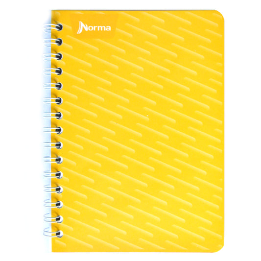 CUADERNO FRANCES DOBLE ARGOLLA 100 HJ RAYA NORMA MNK